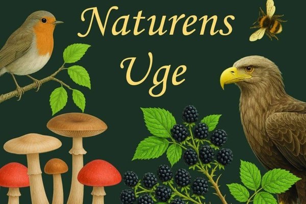 Åben Onsdag på Naturskolen