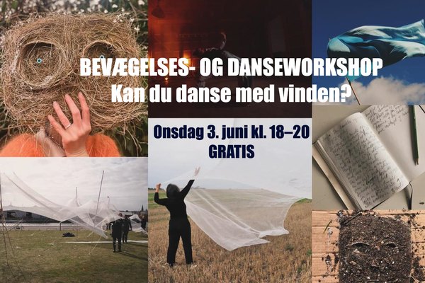 Vejrsans og vejrdans (workshop)
