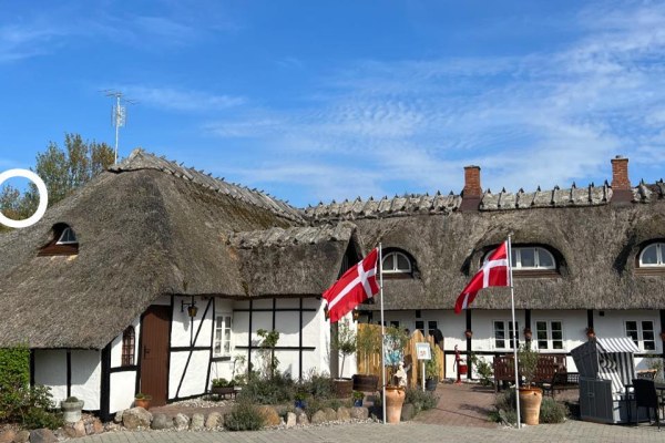 Ålegilde — Den Gamle Digegaard